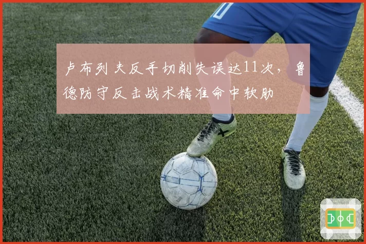 卢布列夫反手切削失误达11次,鲁德防守反击战术精准命中软肋