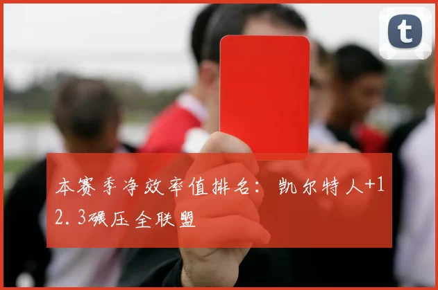 本赛季净效率值排名：凯尔特人+12.3碾压全联盟